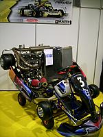 DSCI0015